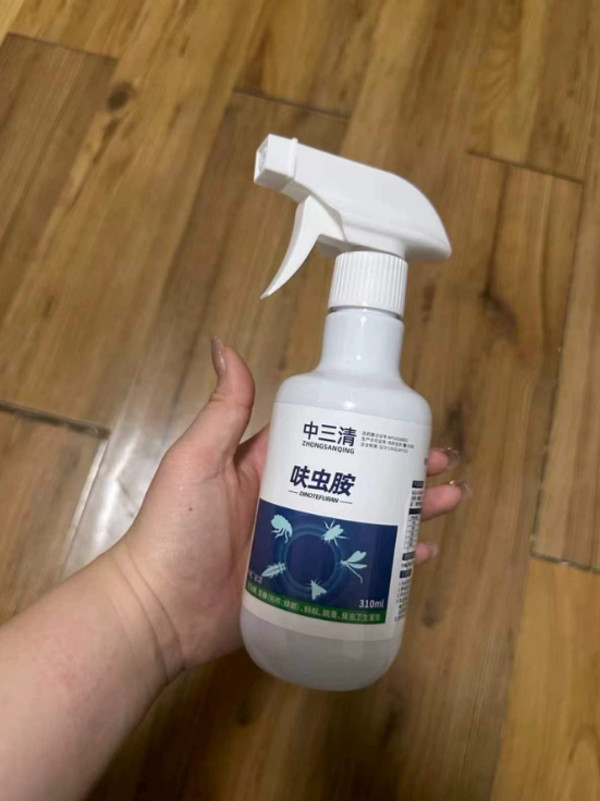 线报图片