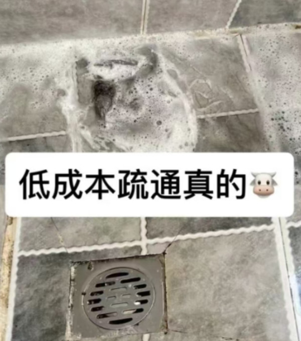 家用下水道杀虫剂杀小飞虫蟑螂苍蝇药潮虫臭虫管道杀虫水乳剂室内 图片 6