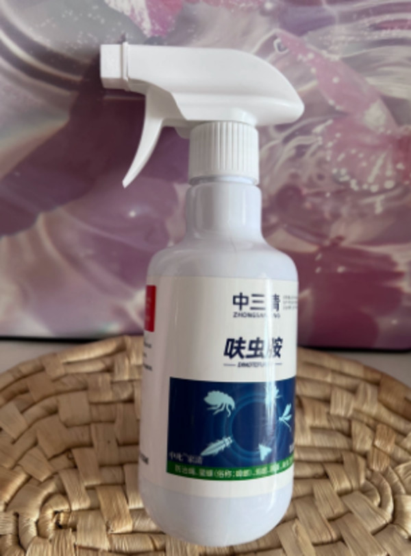 线报图片