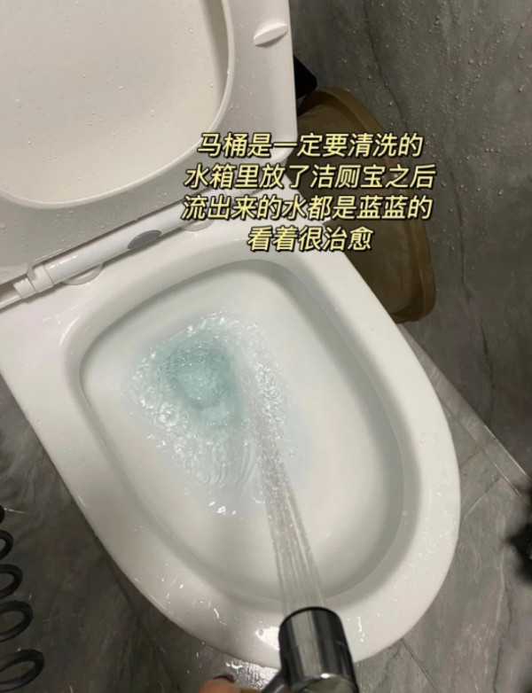 洁厕灵液马桶清洁剂强力除垢除臭清香型厕所马桶去异味留香去尿碱 图片 6