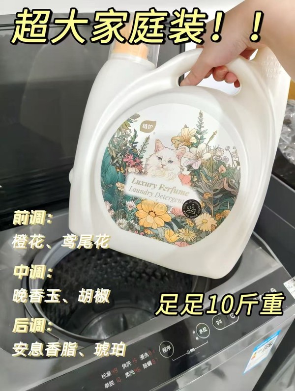线报图片