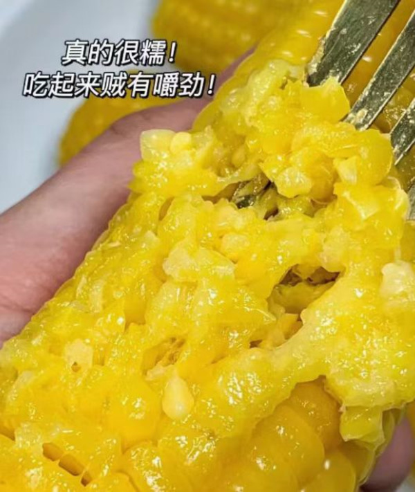东北黑龙江黄糯玉米新鲜软糯粘黏新鲜真空装代餐玉米棒礼盒 图片 6
