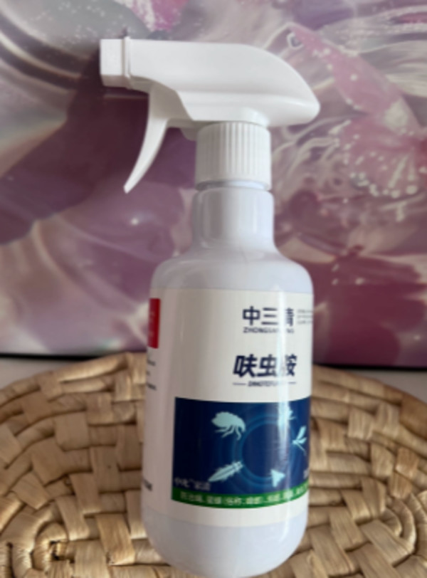 线报图片