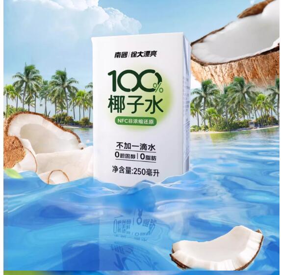 【南国】海南特产NFC椰子水250ml*6瓶