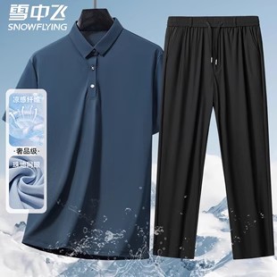 雪中飞男士短袖t恤桑蚕丝polo衫夏季翻领半袖冰丝纯色休闲体恤男A