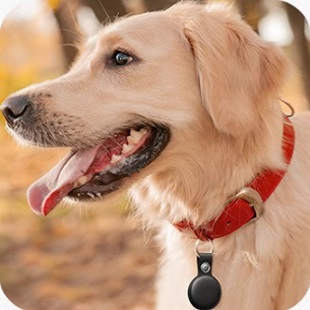 宠物定位器狗狗订位器猫咪防走失GPS项圈跟踪猎犬追踪防丢器仪器