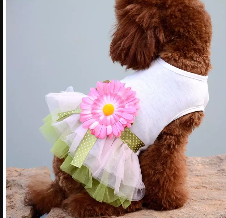 小狗狗衣服春夏装薄款泰迪狗博美小型犬宠物衣服夏季公主连衣裙子
