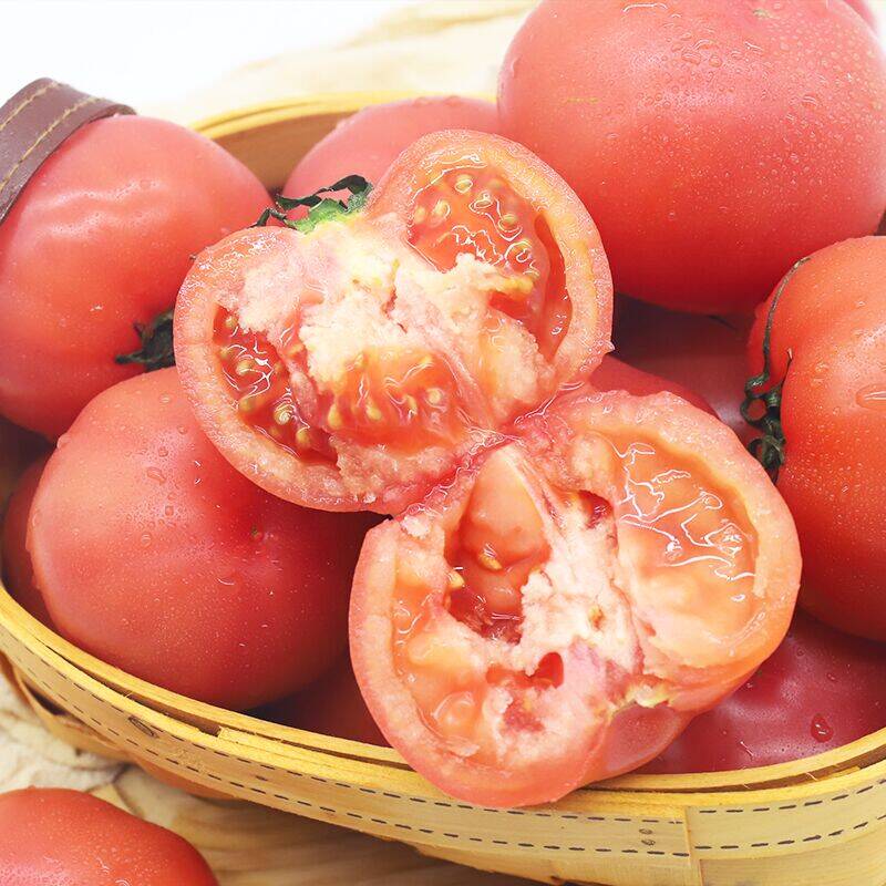 【哪咤豆豆】生吃普罗旺斯西红柿沙瓤新鲜水果番茄现摘自然熟柿子
