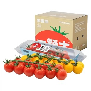 【一颗大】串番茄串收红樱桃番茄小西红柿水果小番茄生吃自然成熟